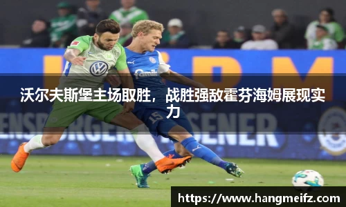 沃尔夫斯堡主场取胜，战胜强敌霍芬海姆展现实力